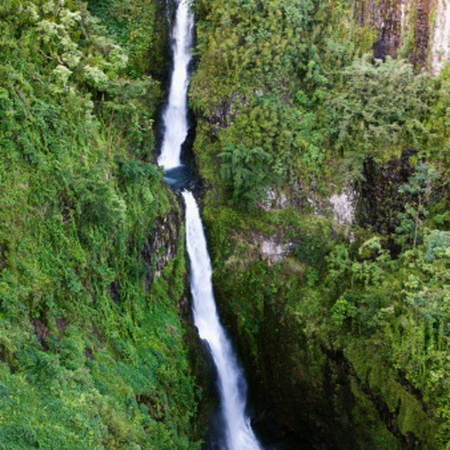 Positive human impacts on rainforests sciencing
