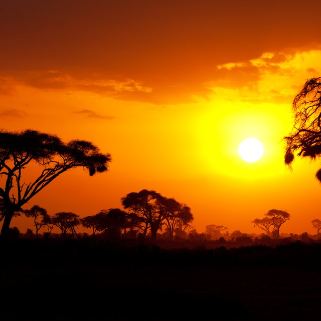 The Impact of Sunlight on the Tropical Savanna | Sciencing