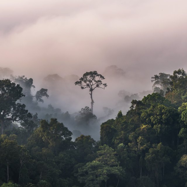 Different Biome Types Sciencing