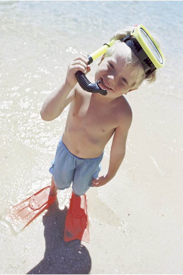 Shallow Snorkeling Sites for Kids in Florida