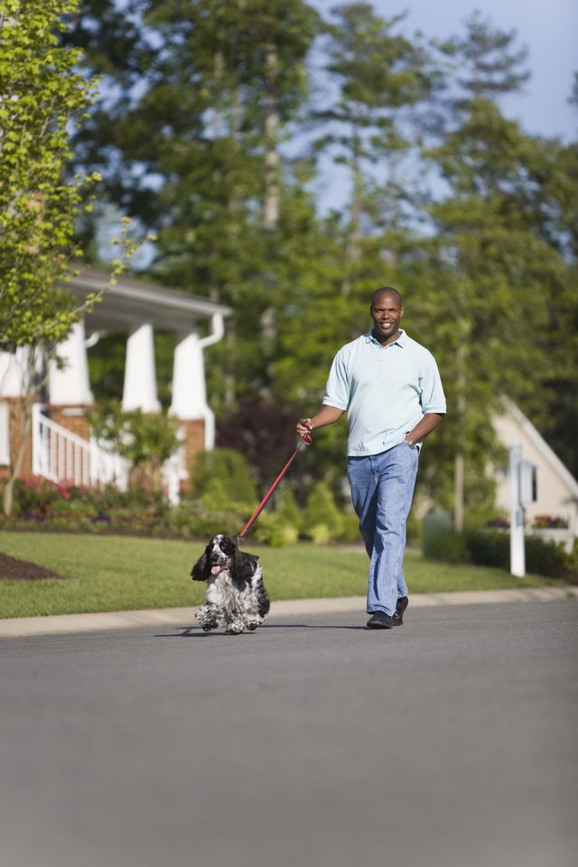 Man walking with dog
