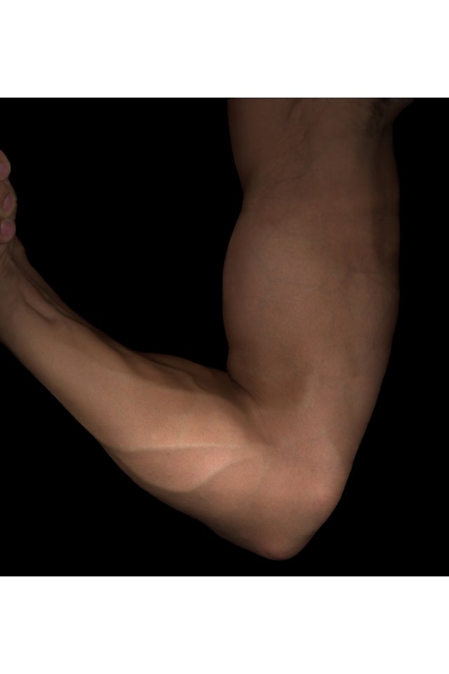 Muscular arm flexing, close-up, studio shot