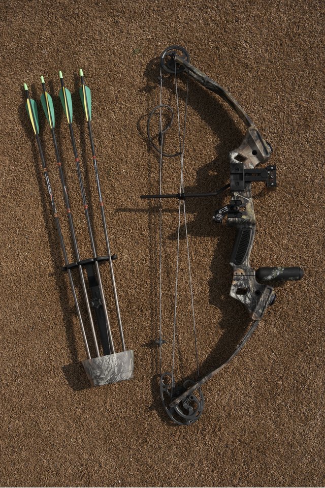 Hunting bow and arrows, overhead view