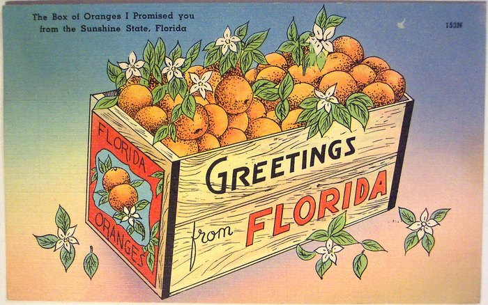 19 Vintage Postcards Florida Miami Orlando Hotels etc