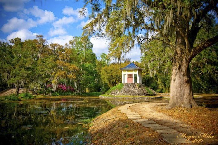 louisiana scenery