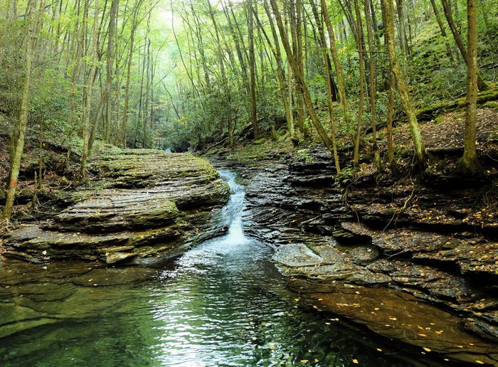 12 Best Swimming Holes In Virginia Youll Love To Visit 7184