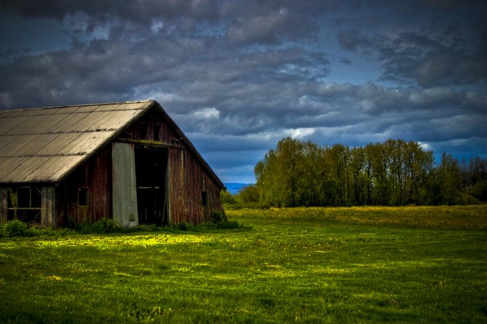 You Will Fall In Love With These Beautiful Old Oregon Barns