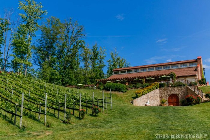 These Virginia Wineries Are A Must Visit For Everyone