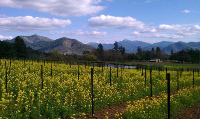 wine tours grants pass oregon