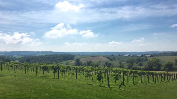 winery tours illinois