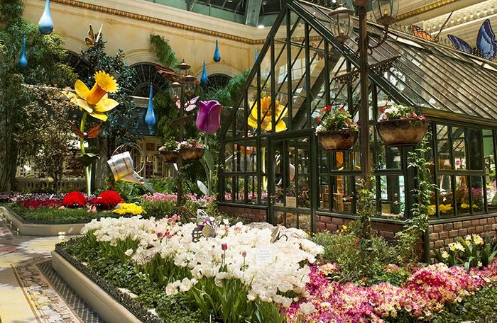 Bellagio Conservatory and Botanical Gardens in Las Vegas blossoms