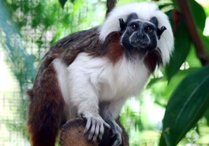 The Best Places For Animal Encounters In Hawaii For Animal Lovers The Best Places For Animal Encounters In Hawaii For Animal Lovers