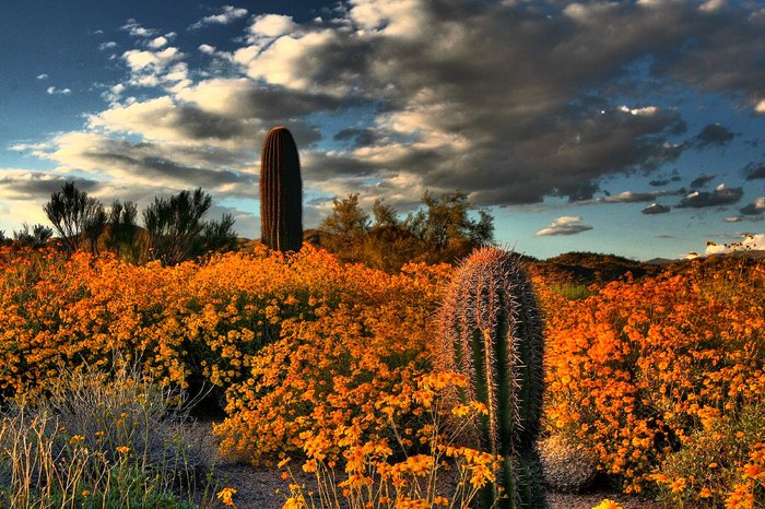 15 Secret Spots In Arizona Where Nature Will Completely Relax You
