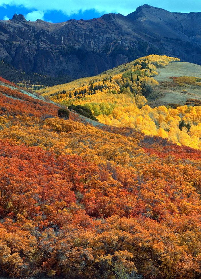 Colorado Hidden Gem: Last Dollar Road