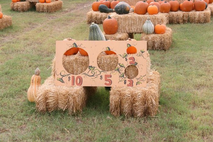 Don’t Miss These 10 Great Pumpkin Patches In Arizona This Fall