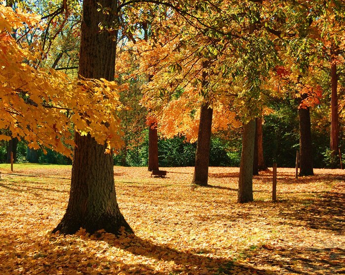 Stunning Fall Foliage At 10 State Parks In Ohio