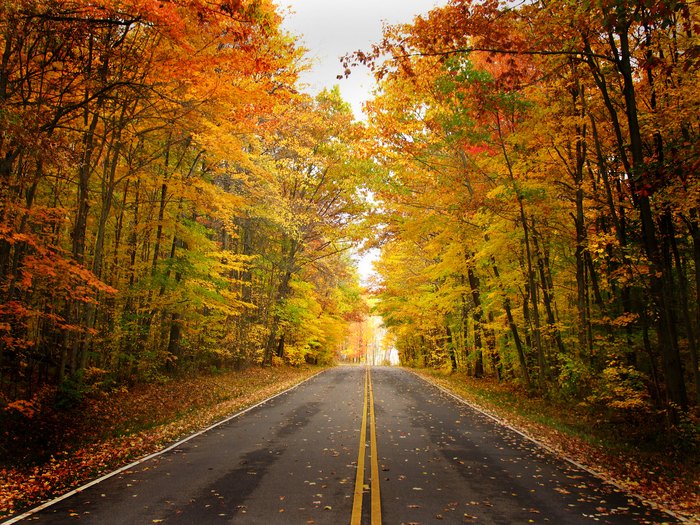 Stunning Fall Foliage At 10 State Parks In Ohio