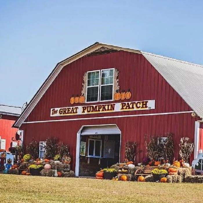 Here Are Some Of The Best Pumpkin Patches In Alabama