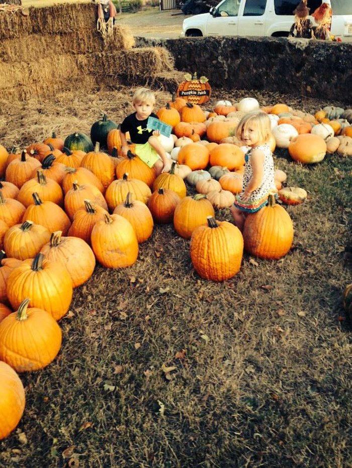 10 Awesome Louisiana Pumpkin Patches