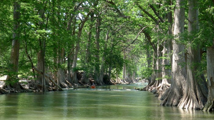 12 of the Most Beautiful Rivers In Texas