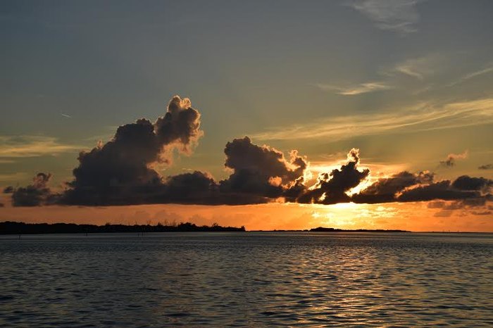 22 Amazing Shots of Florida By Local Photographers