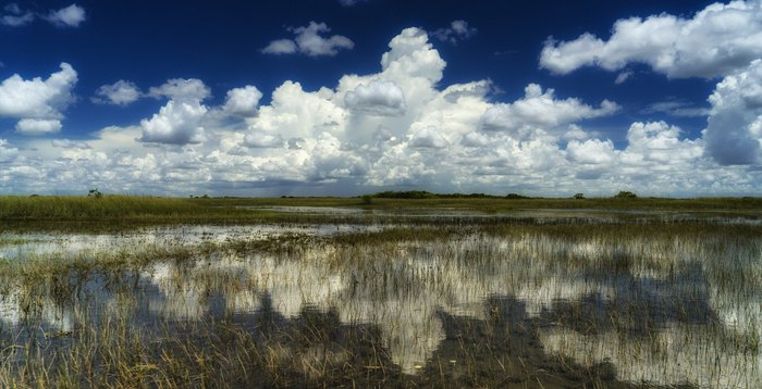 The Most Incredible Natural Wonders In Florida