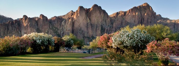 Intimate Wedding at Saguaro Lake