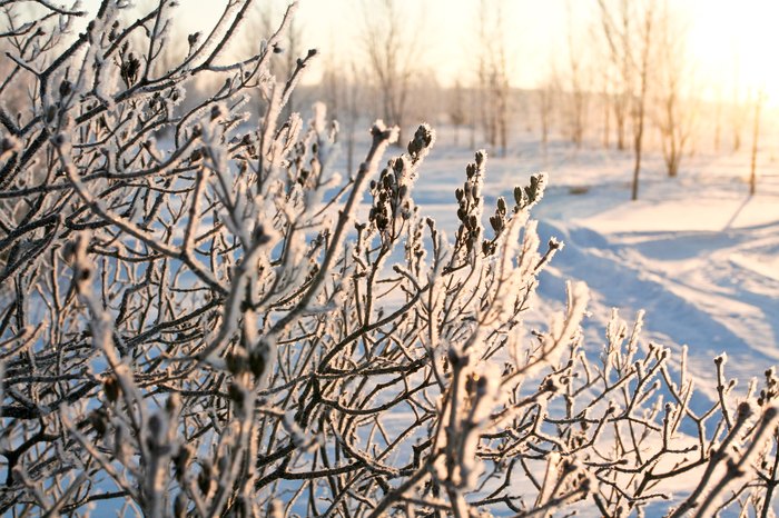 23 Times Snow Transformed Minnesota Into Beautiful Scenery