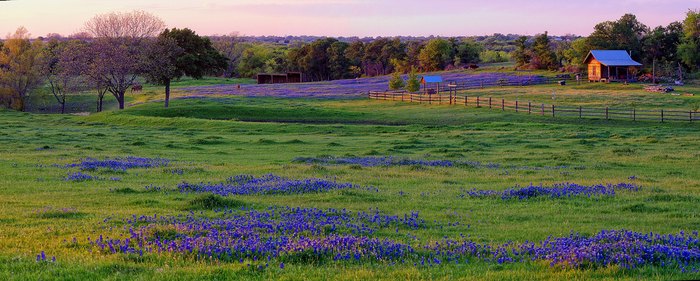 mind blowing texas scenery
