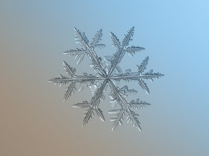 Snowflakes - Solo Flake Version