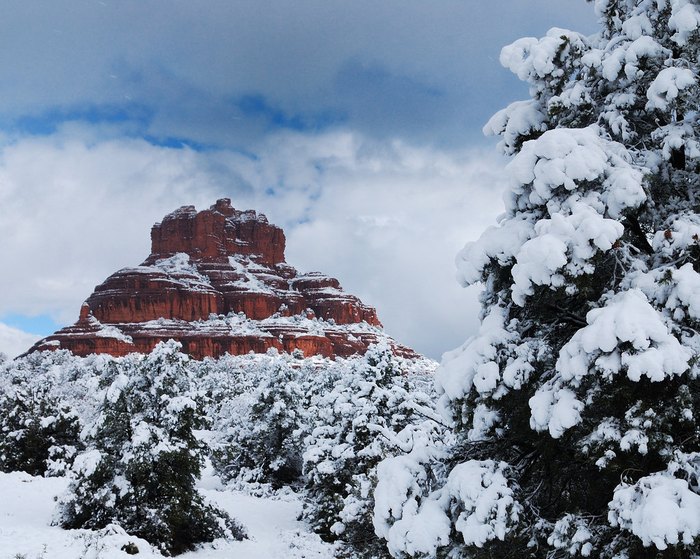 12 Reasons Christmas In Arizona Is The Absolute Best