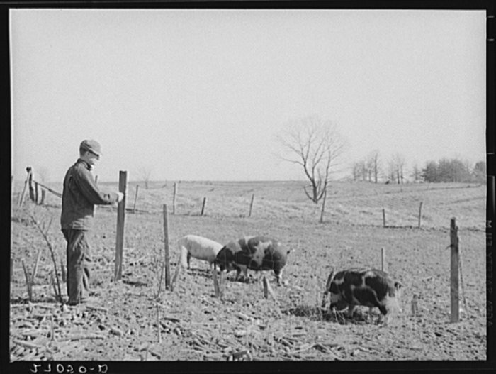 These 12 Illinois Farms From The Past Are Special