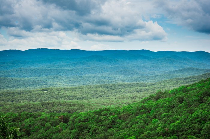 The Most Scenic Hike In Georgia Is In Amicalola Falls State Park