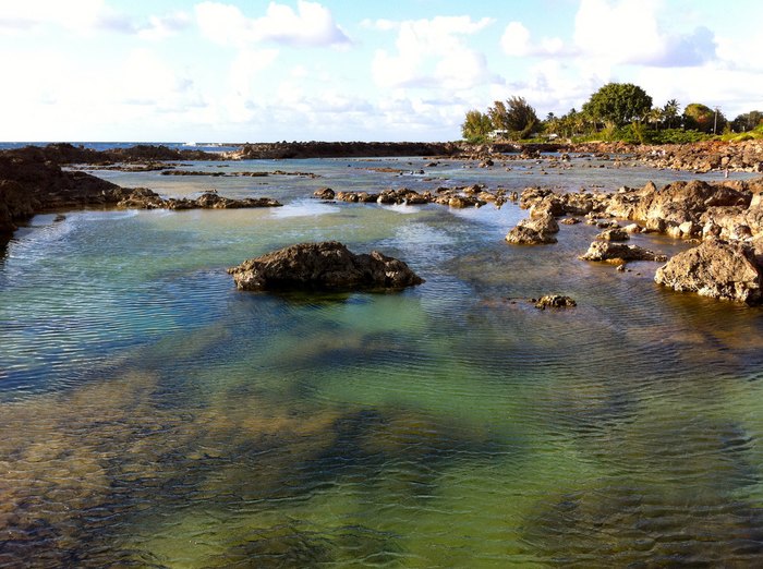 8 Beautiful Tide Pools In Hawaii