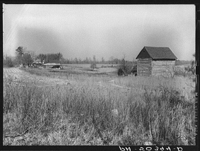 15 Vintage Photos Of North Carolina Farms