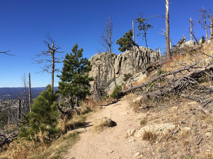 harney peak trail