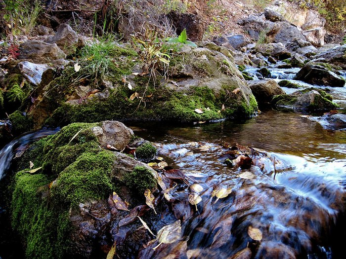 Roughlock Falls - Dances with Wolves