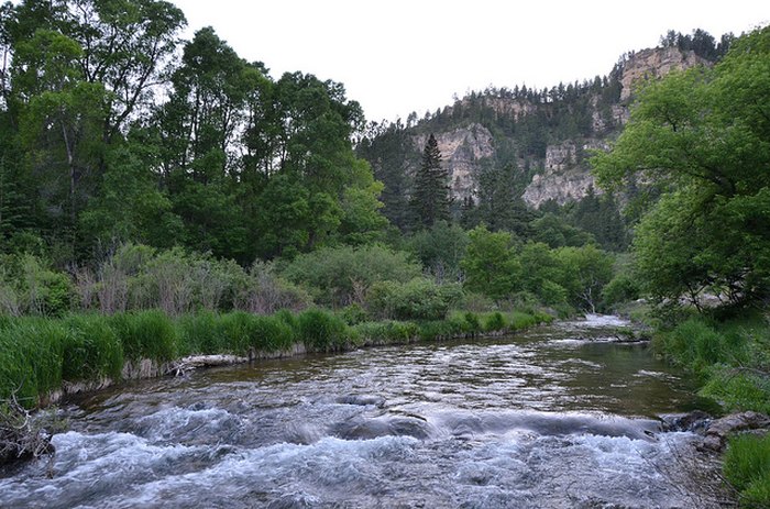 Creek in Spearfish Canyon