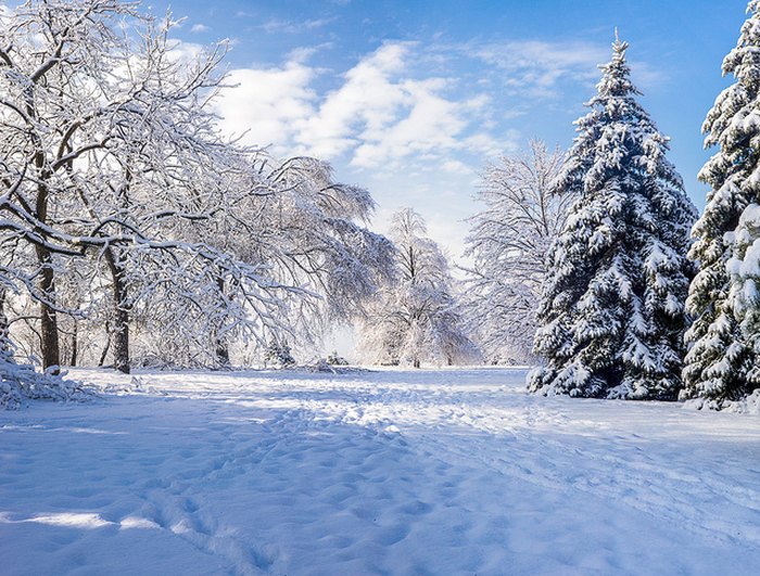 winter