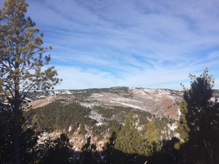 Black Hills National Forest
