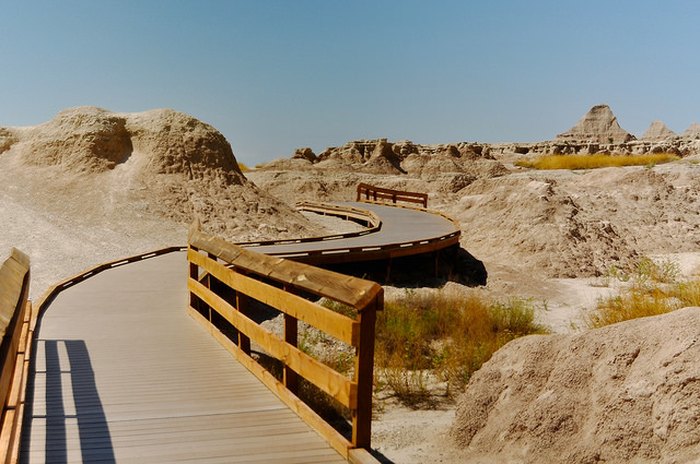 The Curved Path