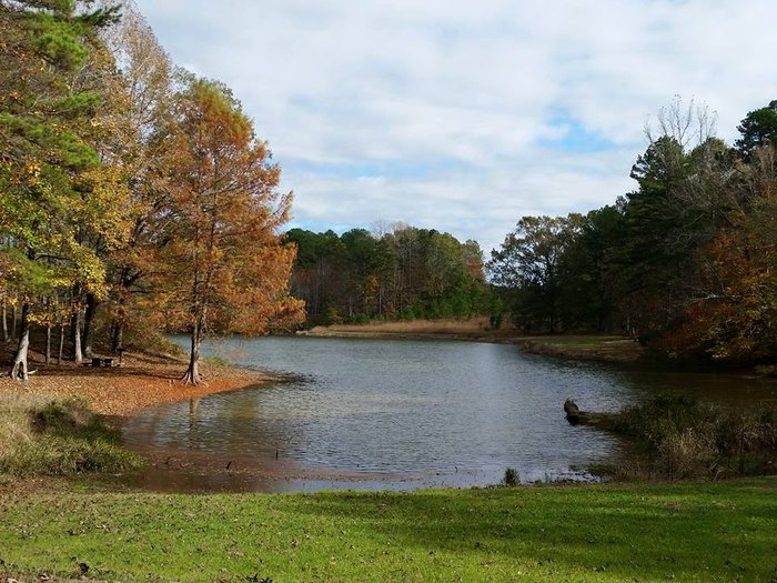 12 Beautiful Lakes In Mississippi You Must Visit This Summer