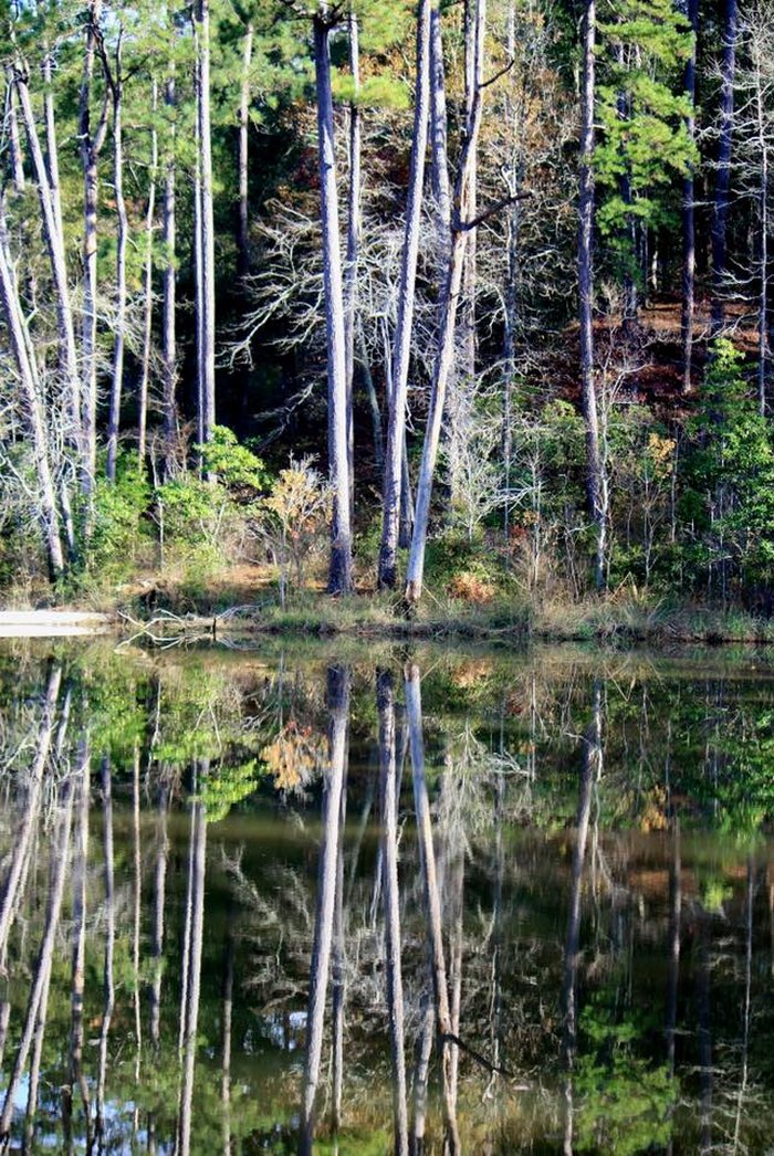 12 Beautiful Lakes In Mississippi You Must Visit This Summer