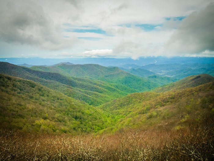 Why Everyone Should Visit The Magical Craggy Gardens