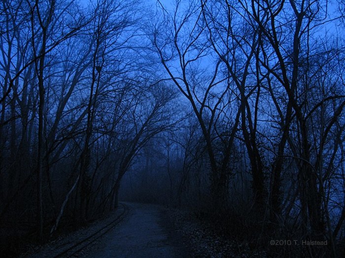 Zombie Road In Missouri Will Give You Nightmares