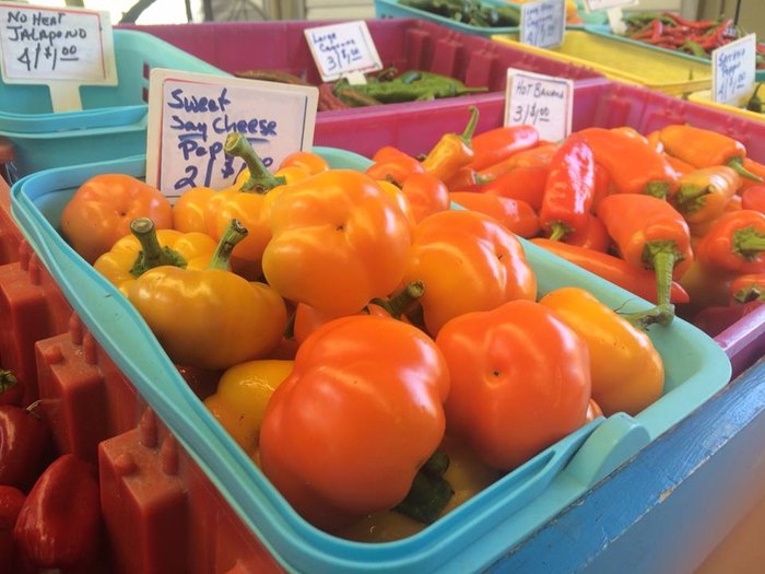 13 Of The Best Farmers Markets In Mississippi