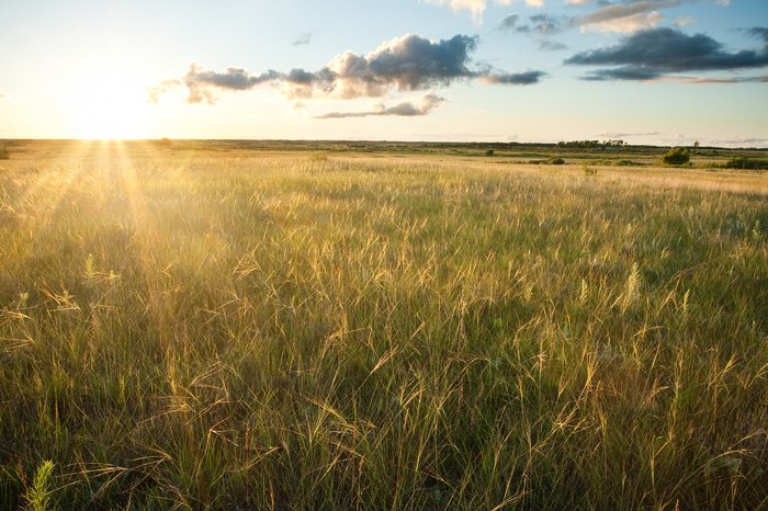 The 7 Most Beautiful Places In Minnesota Nature