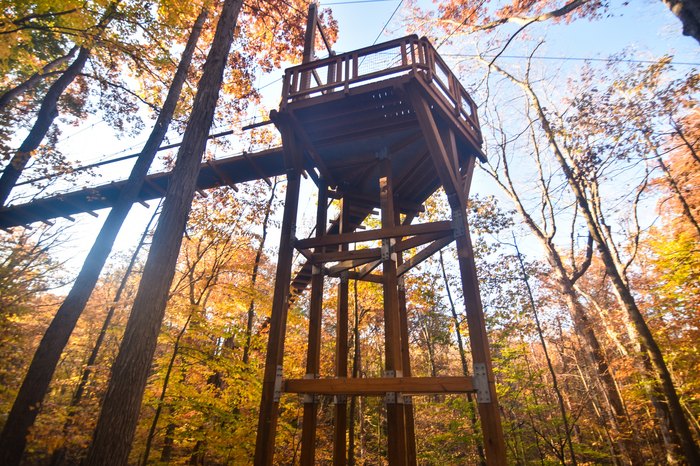 canopy tour holden arboretum