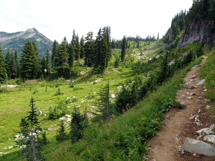 15 Easy Hikes In Washington That Are 5 Miles Or Under