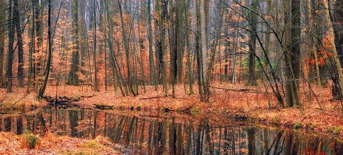 15 Photos Of The Most Beautiful Nature In Pennsylvania